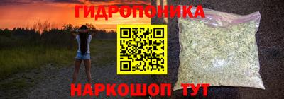 СК Заводоуковск