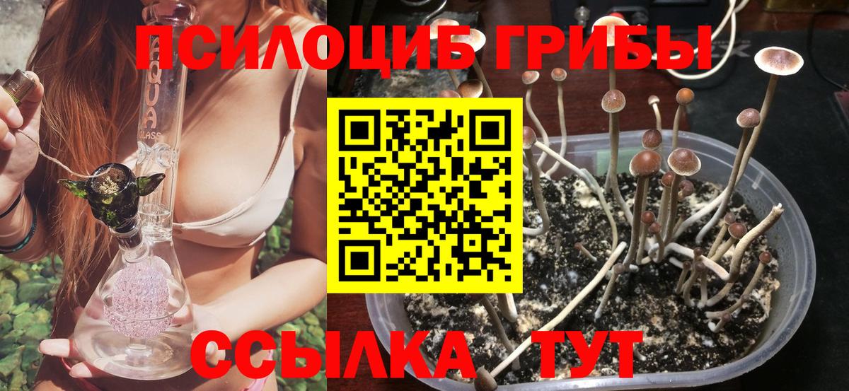 Лабинск  Галлюциногенные грибы MAGIC MUSHROOMS  Галлюциногенные грибы Cubensis  Вход с VPN 